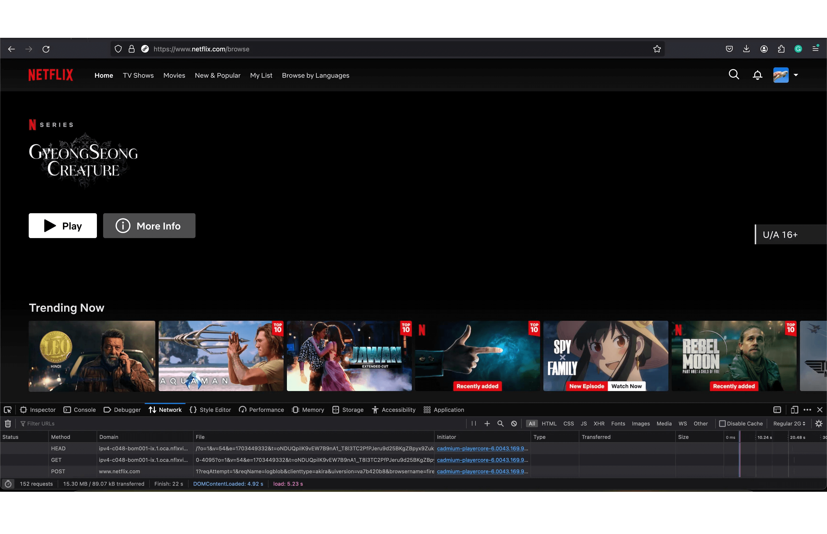 Netflix intial rendering with the skeleton UI along with the images