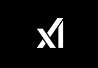 xAI (Twitter, Grok)